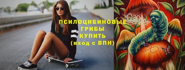 ПСИЛОЦИБИНОВЫЕ ГРИБЫ Алексин