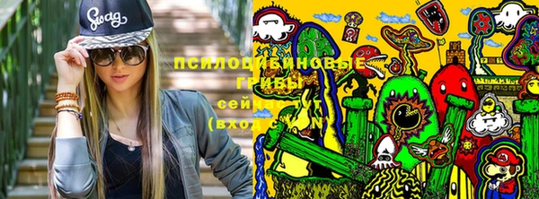 метадон Алексеевка