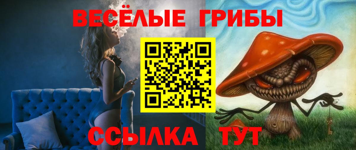 Галлюциногенные грибы Magic Shrooms  Галлюциногенные грибы Magic Shrooms  Вход с VPN  купить   Апшеронск 